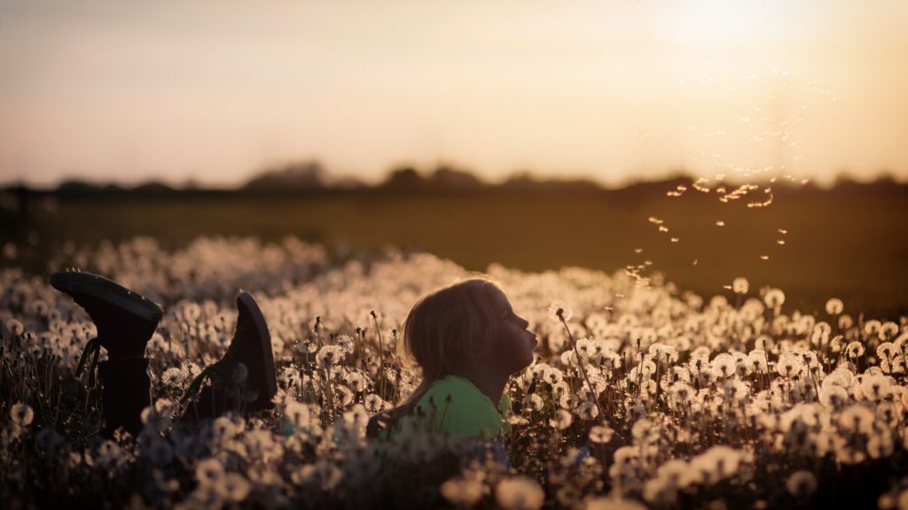 little girl blowing dandilions