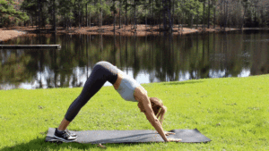 Down dog to plank exercise